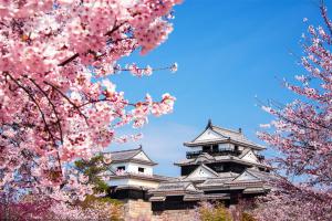 日本研修生